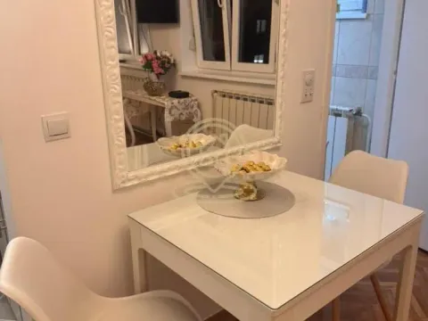 Rent, one bedroom apartment, 26m², Kalenić Pijaca, Vračar Sve Podlokacije - image 5