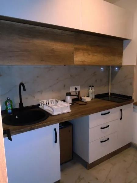 Rent, two bedroom apartment, 75m², Centar, Niš