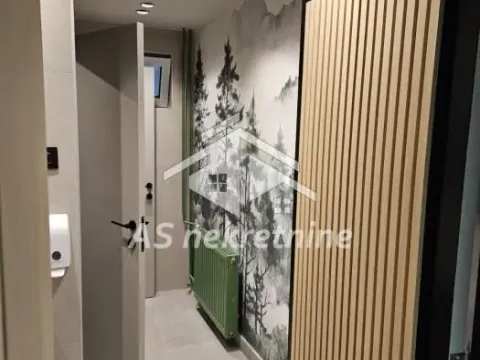 Izdavanje, poslovni prostor, 300m², Stari Grad, Beograd - image 19