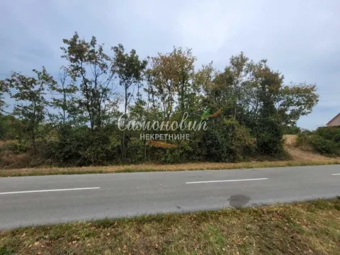 Pogled na plac i rastinje pored asfaltiranog puta. - image 10