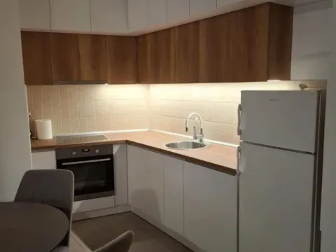 Izdavanje, jednosoban stan, 50m², Grbavica, Novi Sad Sve Podlokacije - image 11