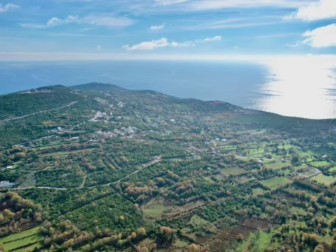 Sale, land lot, 1500m², Zagora, Kotor - image 2