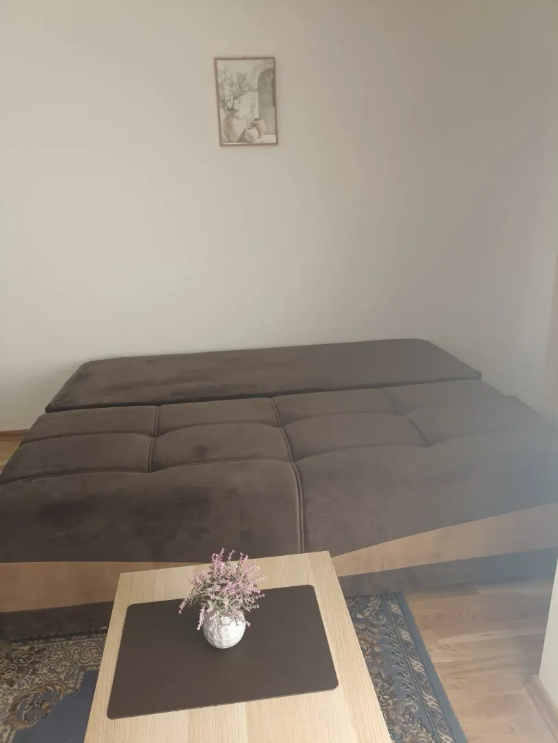 Rent, studio apartment, 24m², Zabjelo, Podgorica