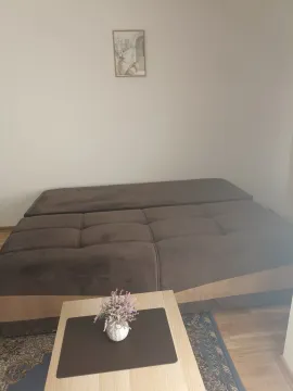 Rent, studio apartment, 24m², Zabjelo, Podgorica - image 3