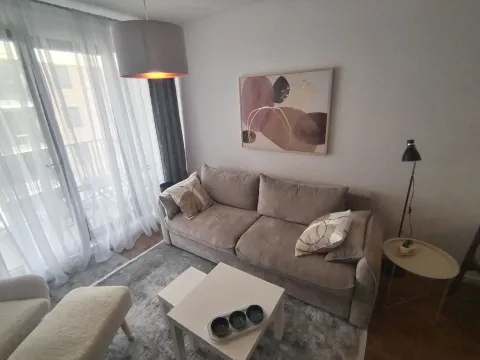 Rent, two bedroom apartment, 46m², Višnjička Banja, Palilula Sve Podlokacije - image 20