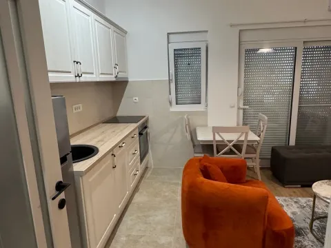 Rent, two bedroom apartment, 45m², Zabjelo, Podgorica - image 3