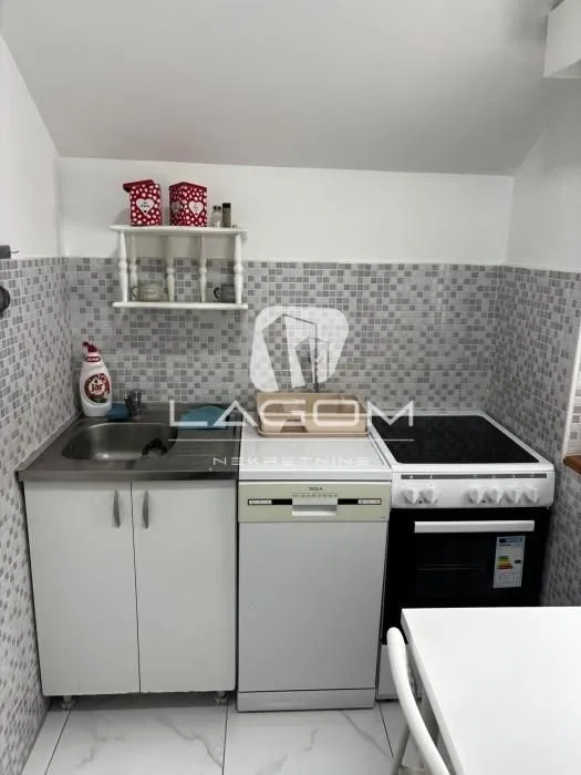 Manja kuhinja sa sudoperom, mašinom za sudove i šporetom.