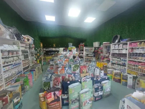 Prodaja, poslovni prostor, 72m², Stari Grad, Beograd - image 2