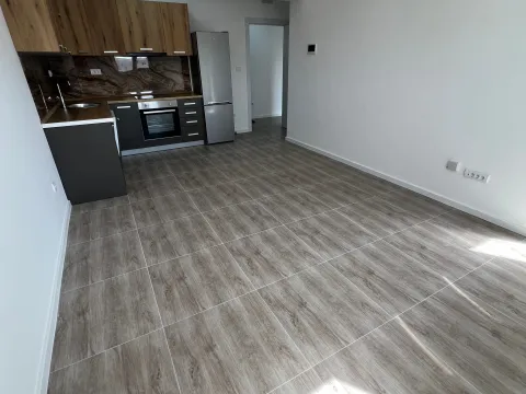 Rent, one bedroom apartment, 48m², Šušanj, Bar - image 2