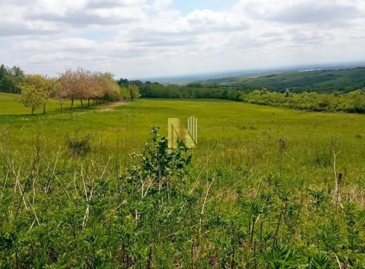 Prodaja, plac, 339m², Banja Vrdnik, Irig