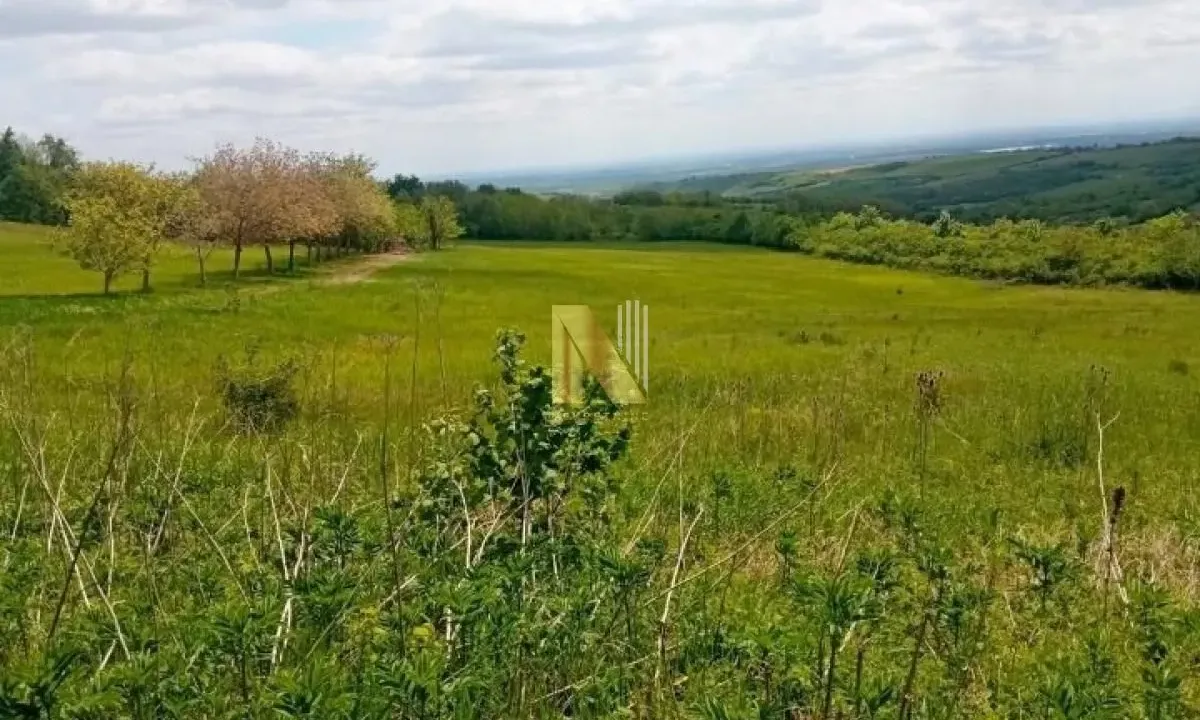 Sale, land lot, 339m², Banja Vrdnik, Irig