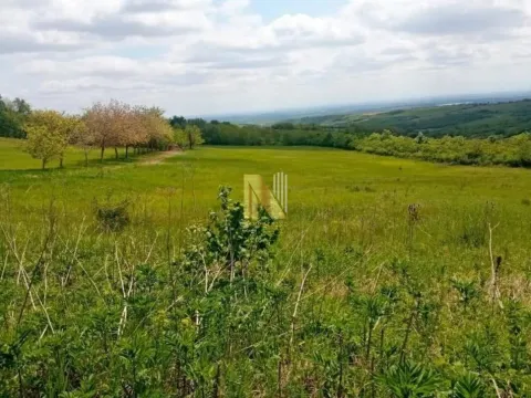 Sale, land lot, 339m², Banja Vrdnik, Irig