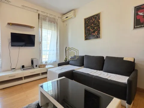 Rent, one bedroom apartment, 30m², Preko Morače, Podgorica - image 1