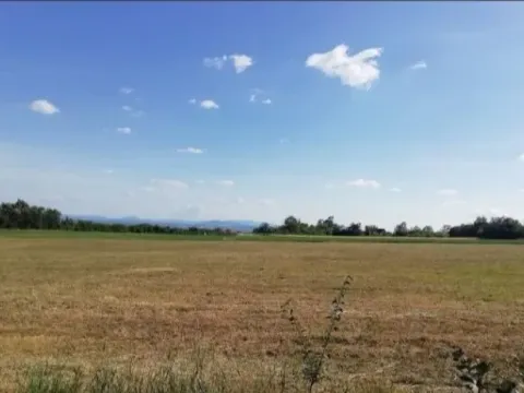 Prodaja, plac, 19500m², Koraćica, Mladenovac - image 10