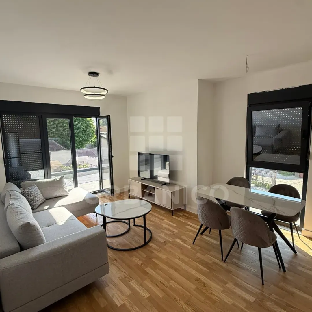 Rent, one bedroom apartment, 45m², Zagorič, Podgorica
