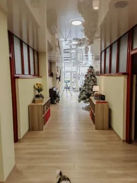 Rent, office space, 170m², Senjak, Beograd - image 4