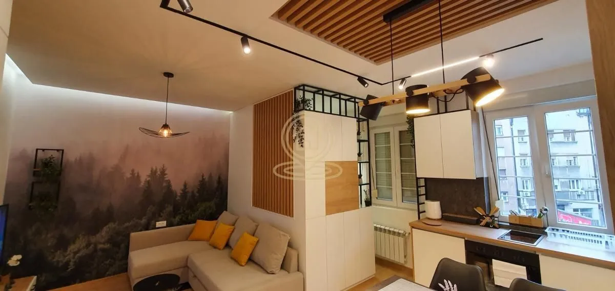 Rent, one bedroom apartment, 36m², Stari Grad, Beograd