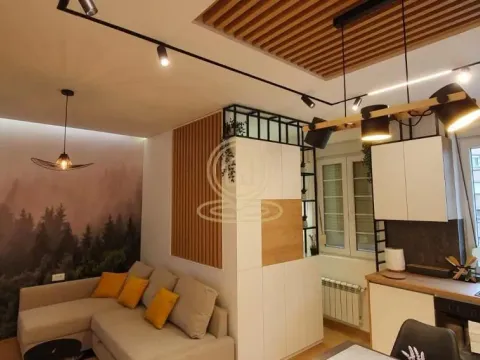 Izdavanje, jednosoban stan, 36m², Stari Grad, Beograd - image 8