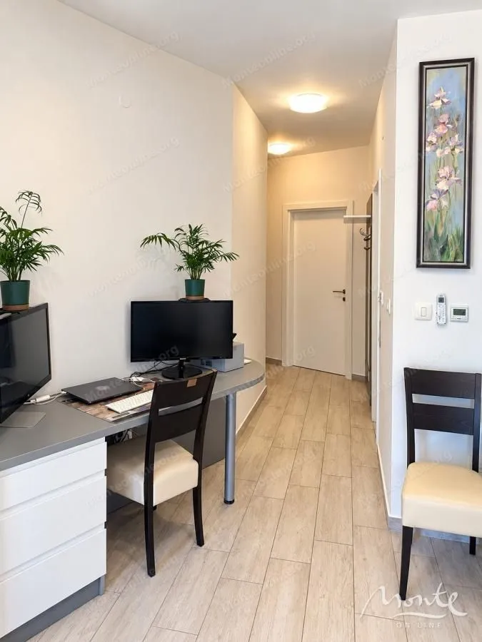 Prodaja, jednosoban stan, 43m², Velji Vinogradi, Budva