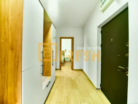 Izdavanje, jednosoban stan, 55m², Stari Aerodrom, Podgorica - image 10