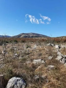 Pogled na prirodno okruženje sa brdom u pozadini. - image 3
