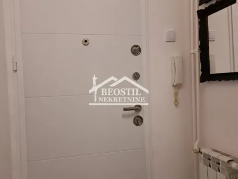 Izdavanje, jednosoban stan, 36m², Vračar Sve Podlokacije, Beograd - image 13