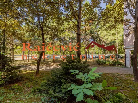 Izdavanje, trosoban stan, 84m², Bežanijska Kosa Sve Podlokacije, Beograd - image 21