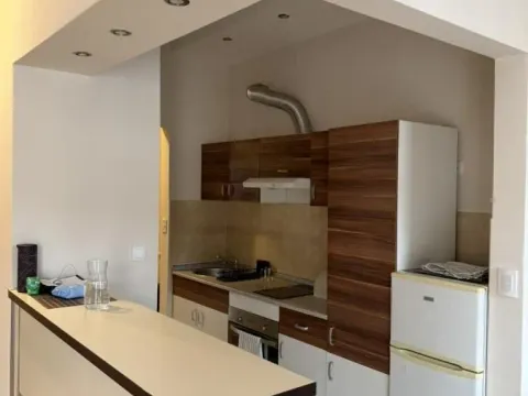 Izdavanje, jednosoban stan, 56m², Vračar Sve Podlokacije, Beograd - image 5