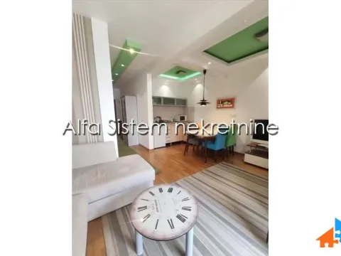 Izdavanje, dvosoban stan, 50m², Vračar Hram, Vračar Sve Podlokacije - image 4