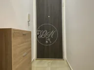 Izdavanje, jednosoban stan, 45m², Kosančićev Venac, Beograd - image 12