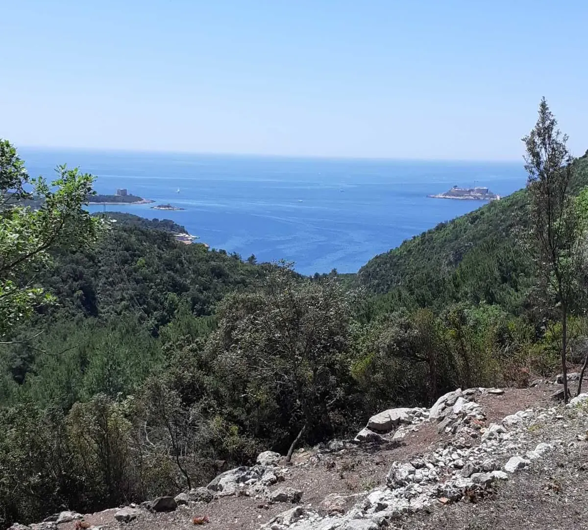 Prodaja, plac, 8000m², Herceg Novi, Crna Gora