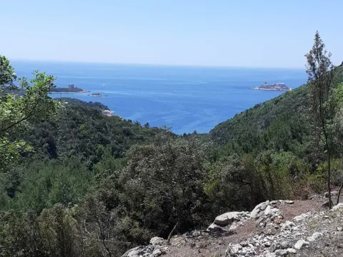 Prodaja, plac, 8000m², Herceg Novi, Crna Gora - image 4