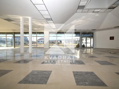 Izdavanje, poslovni prostor, 282m², Masline, Podgorica - image 5