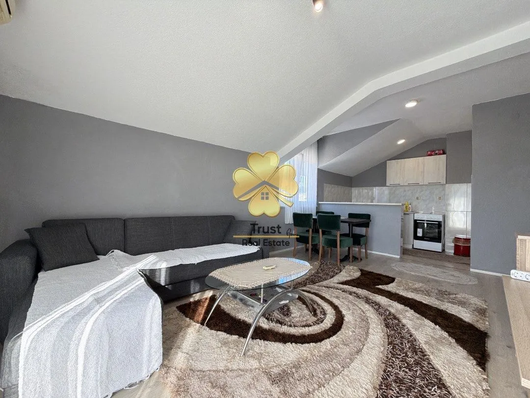 Rent, one bedroom apartment, 50m², Stari Aerodrom, Podgorica