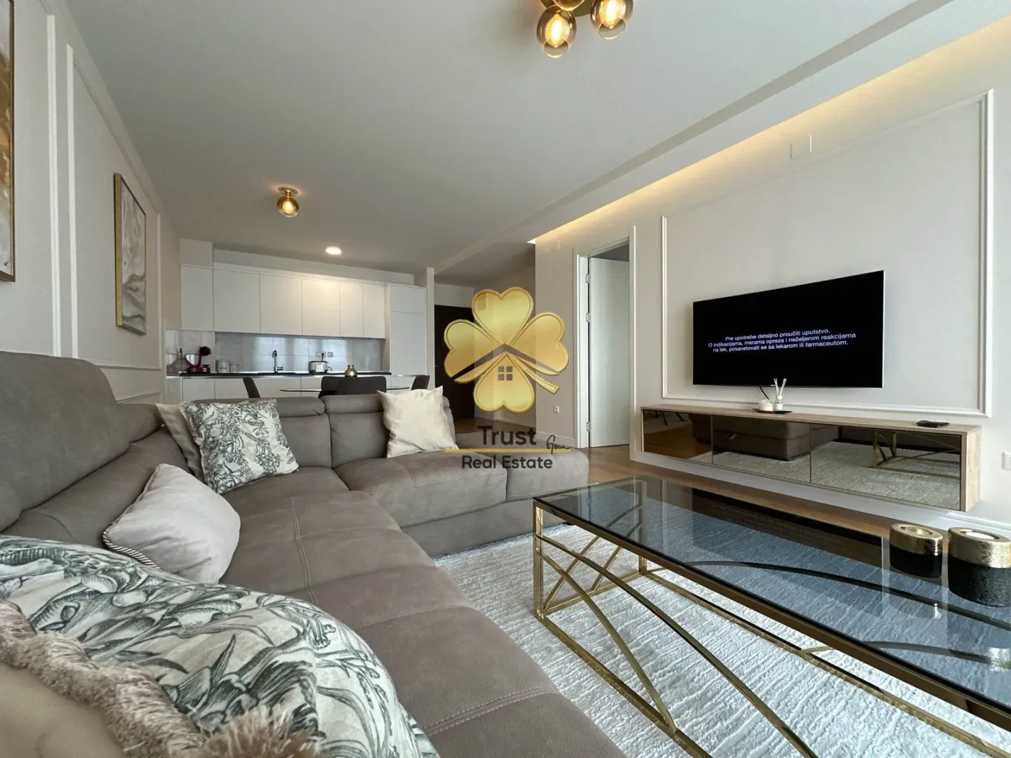 Modern and bright living room with a sofa and a view of the kitchen.