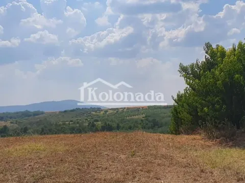 Prodaja, plac, 15800m², Mali Požarevac, Sopot - image 2