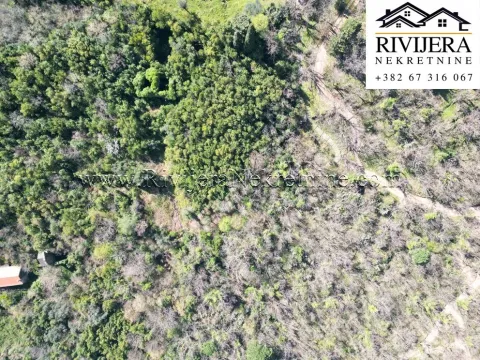 Prodaja, plac, 3769m², Stoliv, Kotor - image 8