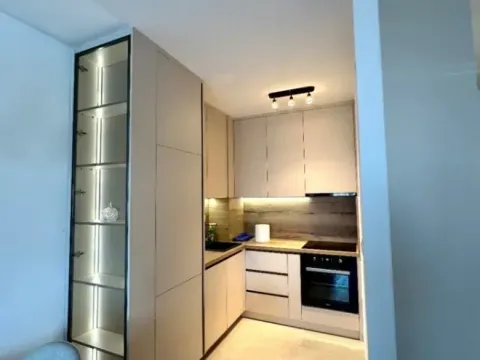 Izdavanje, jednosoban stan, 45m², Stari Aerodrom, Podgorica - image 7