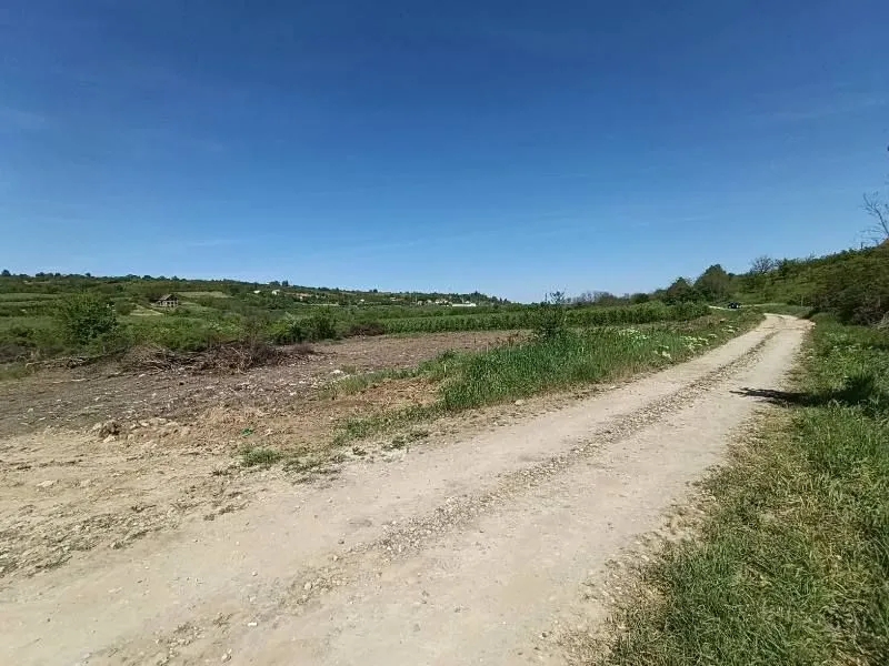 Seoski pejzaž sa zemljanim putem i zelenim površinama.