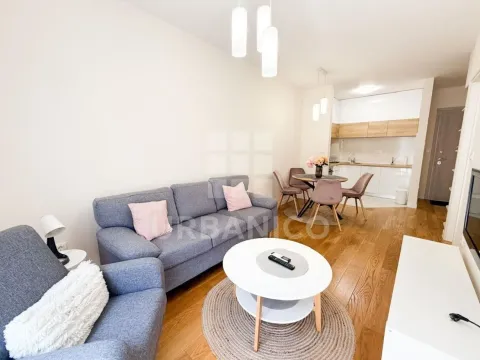 Rent, one bedroom apartment, 40m², Central Point, Podgorica - image 1