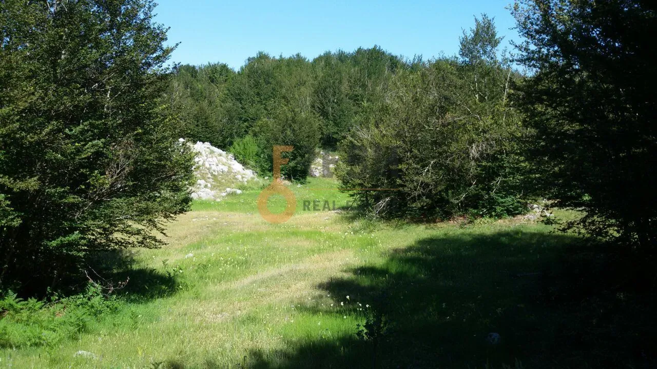 Prodaja, plac, 100000m², Cetinje, Crna Gora