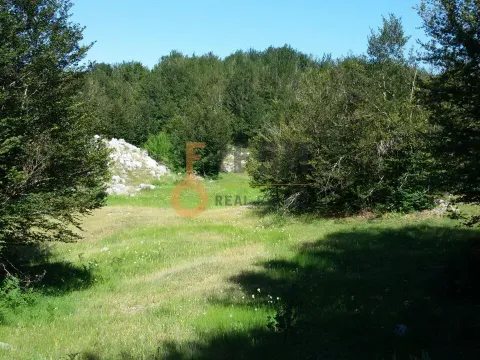 Prodaja, plac, 100000m², Cetinje, Crna Gora - image 13