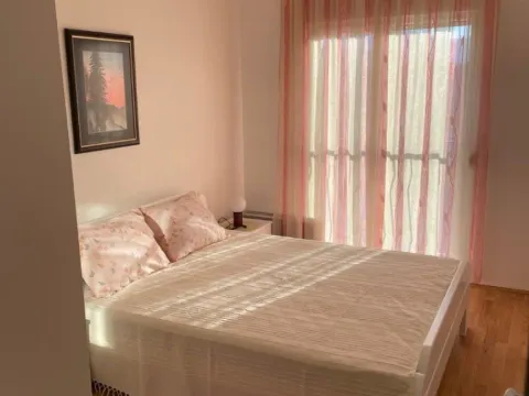 Izdavanje, jednosoban stan, 40m², Stari Aerodrom, Podgorica - image 8