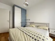 Izdavanje, jednosoban stan, 50m², Central Point, Podgorica - image 3