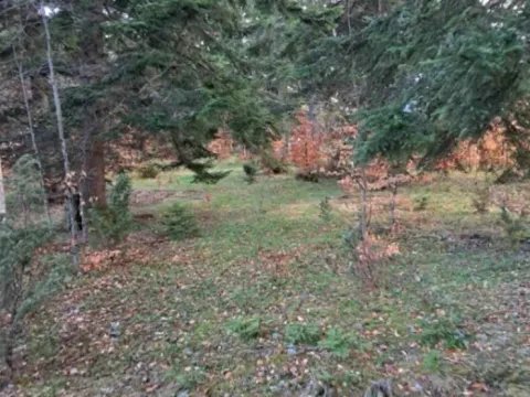 Sale, land lot, 10500m², Stublo, Čajetina - image 12