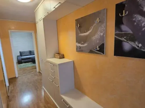Rent, two bedroom apartment, 58m², Bulevar Oslobodjenja, Novi Sad Sve Podlokacije - image 17