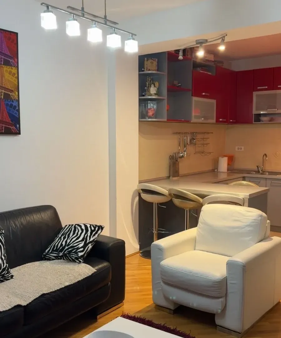 Izdavanje, jednosoban stan, 50m², Preko Morače, Podgorica