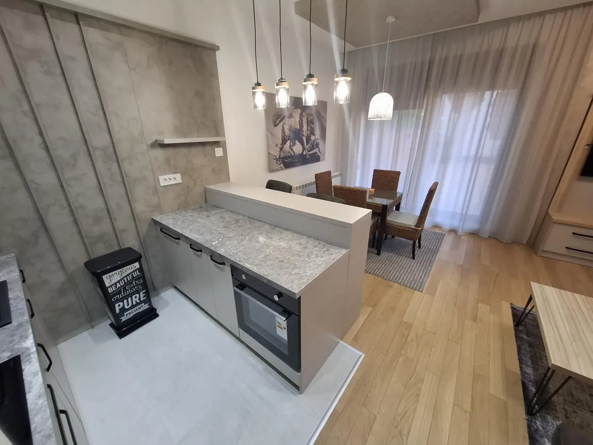 Rent, one bedroom apartment, 44m², Centar, Novi Sad