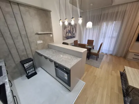 Izdavanje, jednosoban stan, 44m², Centar, Novi Sad - image 3