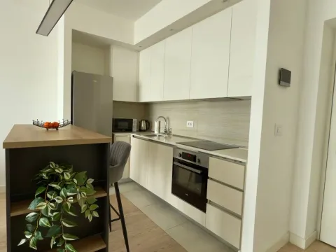 Rent, two bedroom apartment, 59m², Beograd Na Vodi, Beograd - image 5